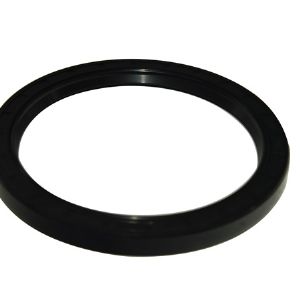 Oil seal