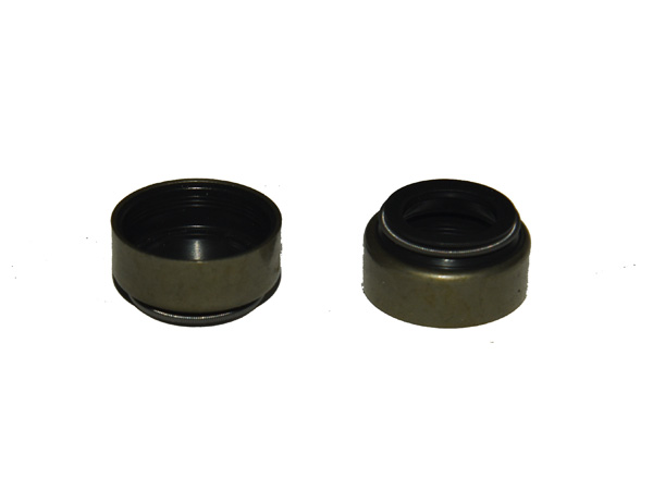 閥桿密封（導管油封）127.03.80.06