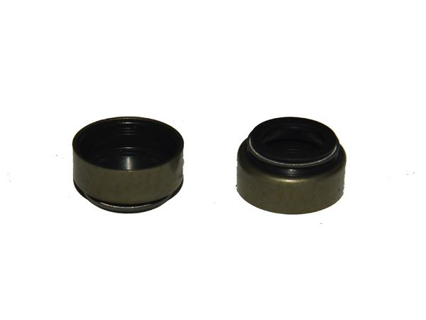 閥桿密封(導管油封)127.03.80.06